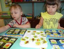Didaktisko spēļu kartotēka, lai izglītotu vecāko pirmsskolas vecuma bērnu ekoloģisko kultūru kartotēka (sagatavošanas grupa) par tēmu